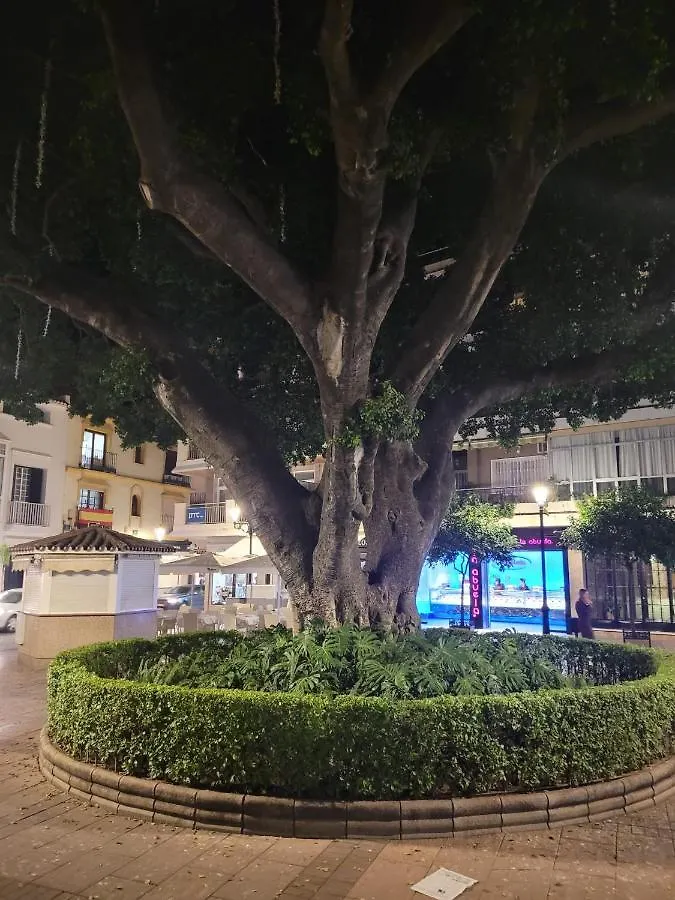 Apartment Fuengirola Centro 2 Room & Beach, By Casa De Sol Hr Spain